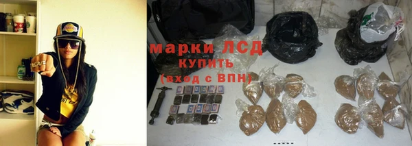 ГАЛЛЮЦИНОГЕННЫЕ ГРИБЫ Рославль