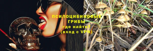 соль курить ск Россошь